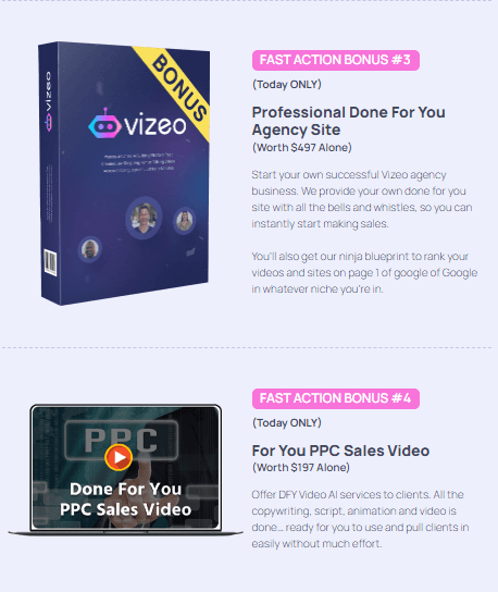 Vizeo Review